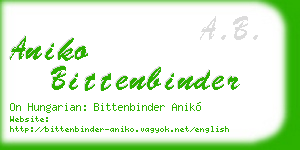 aniko bittenbinder business card